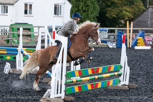 Class 6 - Fences not above 2'9